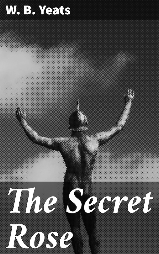 Book cover for The Secret Rose