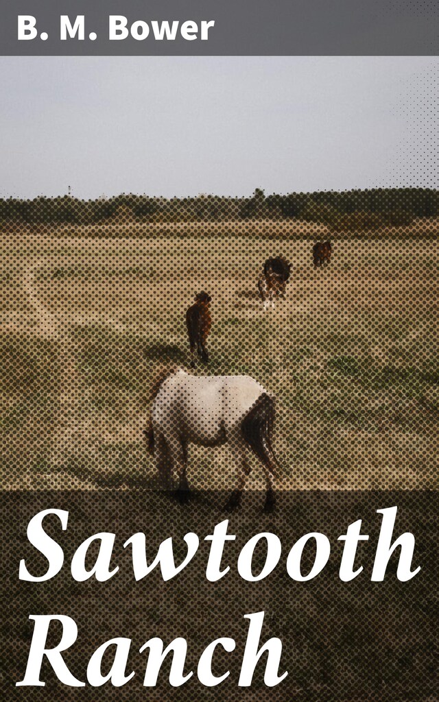 Boekomslag van Sawtooth Ranch