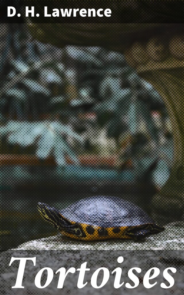 Buchcover für Tortoises