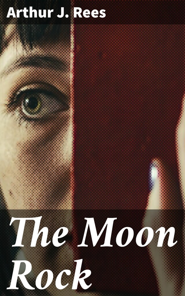 Book cover for The Moon Rock