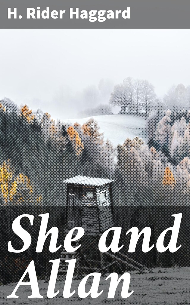 Portada de libro para She and Allan