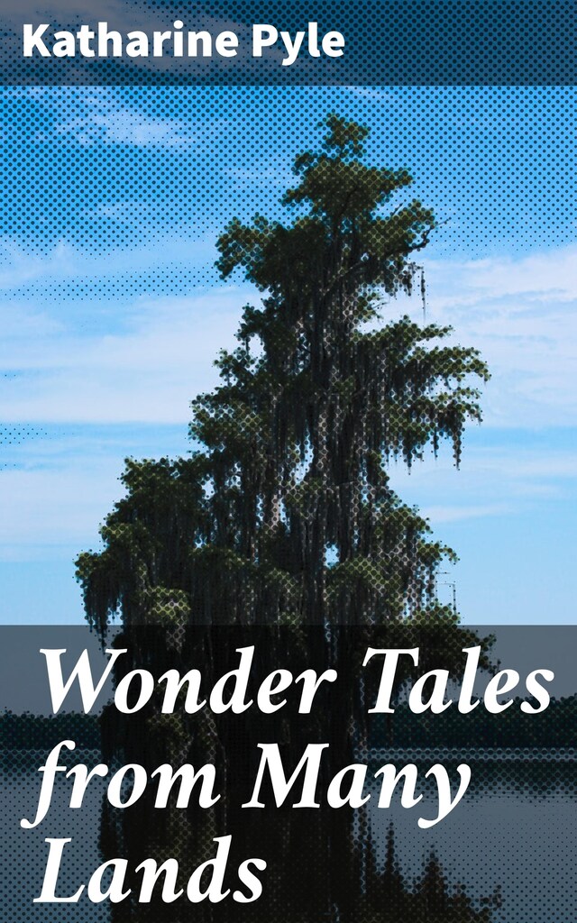 Book cover for Wonder Tales from Many Lands