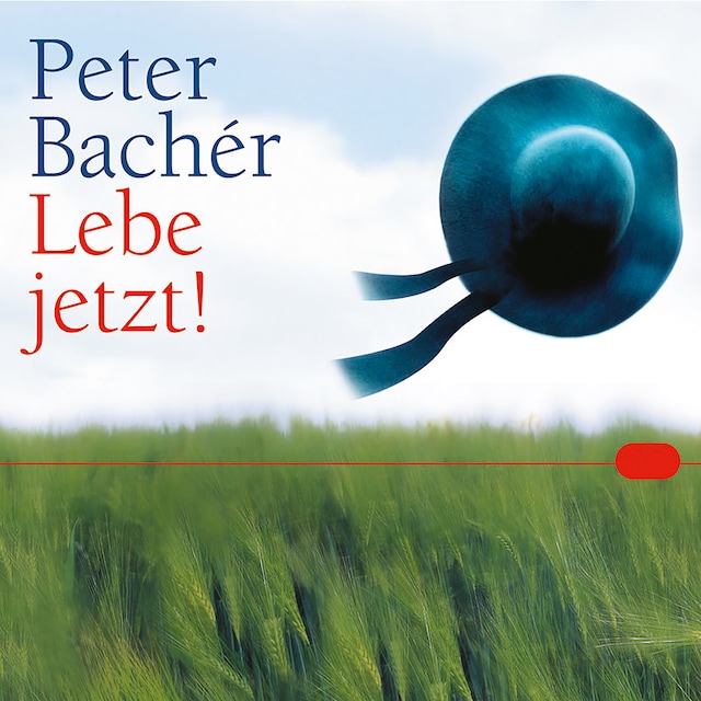 Book cover for Lebe jetzt!