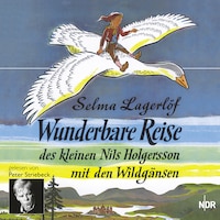 Wunderbare Reise des kleinen Nils Holgersson mit den Wildgänsen