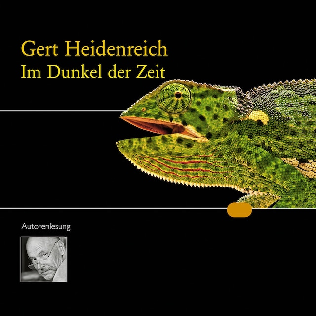 Book cover for Im Dunkel der Zeit