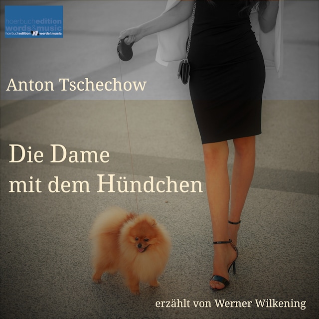 Book cover for Die Dame mit dem Hündchen