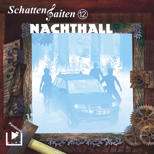 Book cover for Schattensaiten 12 - Nachthall