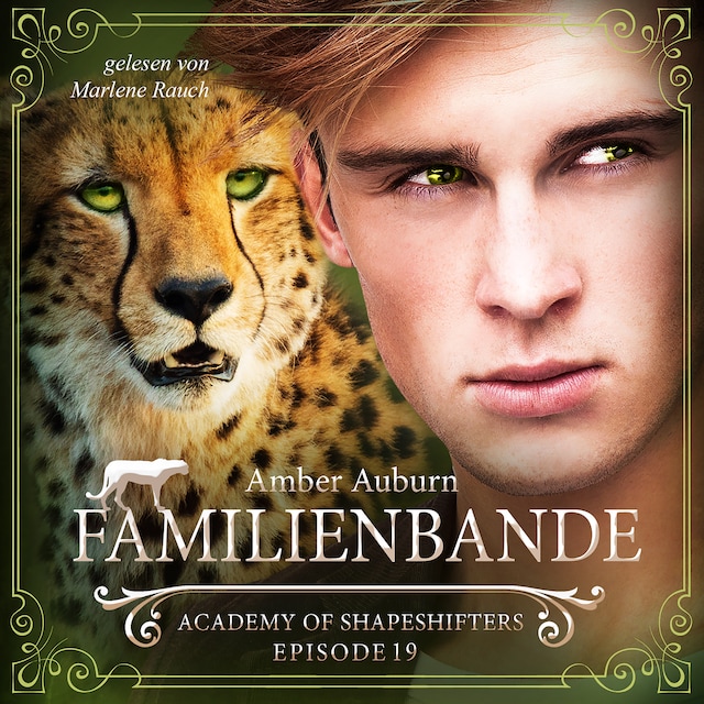 Book cover for Familienbande, Episode 19 - Fantasy-Serie