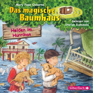 Helden im Hurrikan bookCoverFor