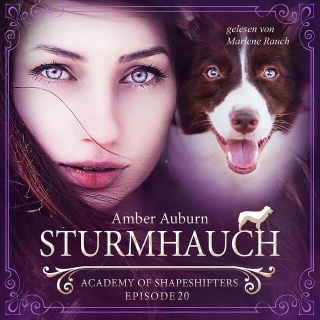 Book cover for Sturmhauch, Episode 20 - Fantasy-Serie