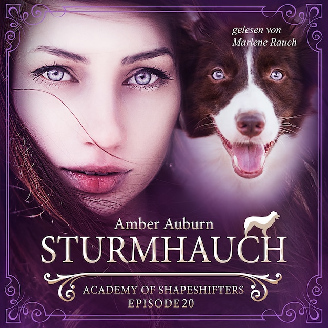 Book cover for Sturmhauch, Episode 20 - Fantasy-Serie