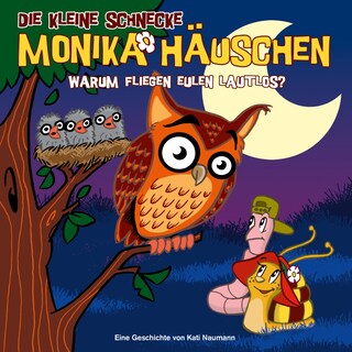 19: Warum fliegen Eulen lautlos? als Hörbuch