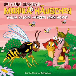 43: Warum naschen Hornissen keinen Kuchen? als Hörbuch