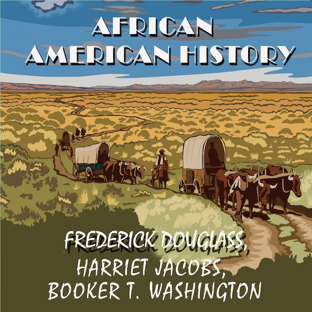 Boekomslag van African American history