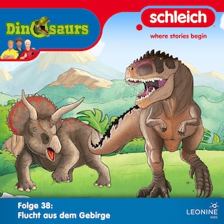 Folge 38: Flucht aus dem Gebirge als Hörbuch
