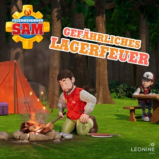 Folge 207: Gefährliches Lagerfeuer als Hörbuch