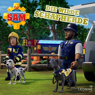 Folge 244: Die wilde Schafherde als Hörbuch