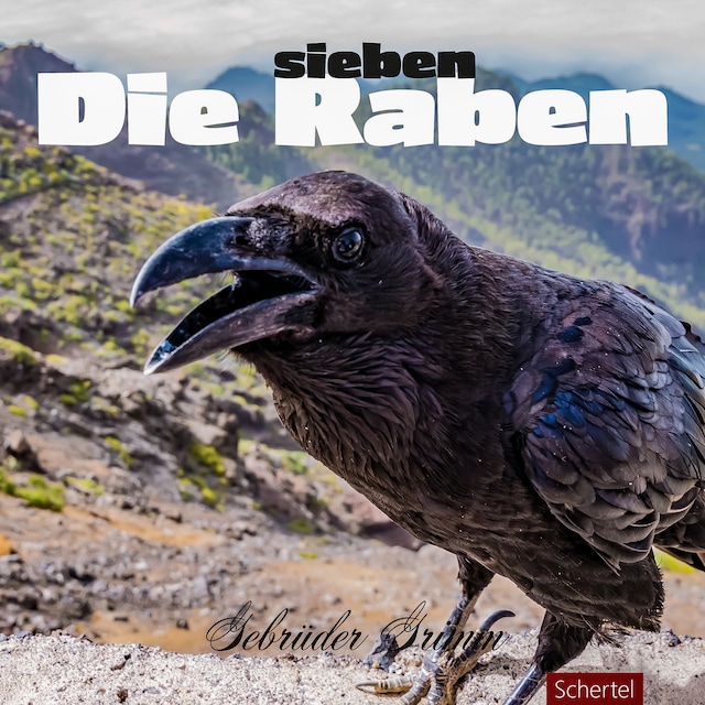 Book cover for Die sieben Raben