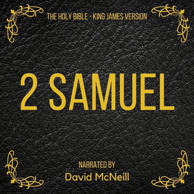 Boekomslag van The Holy Bible - 2 Samuel