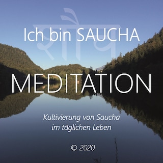 Ich bin Saucha als Hörbuch