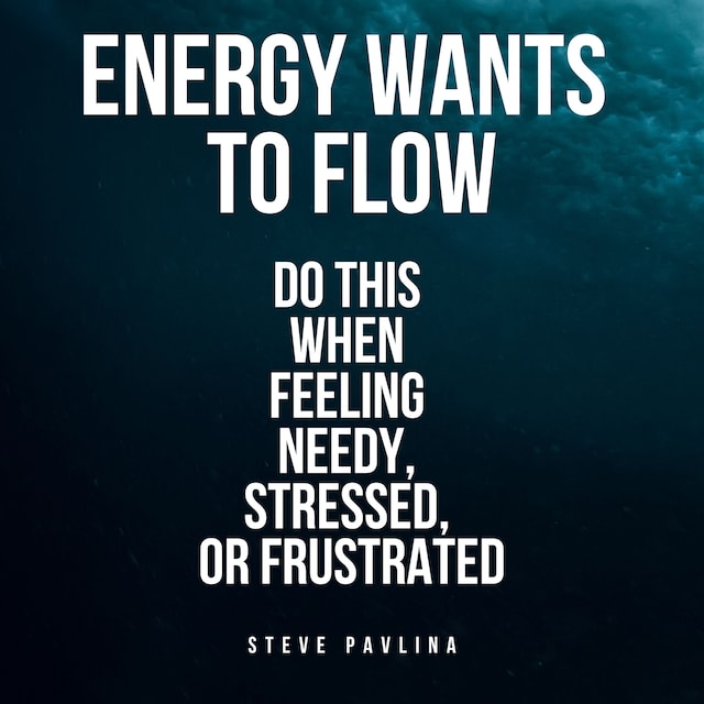 Book cover for Energy Wants to Flow