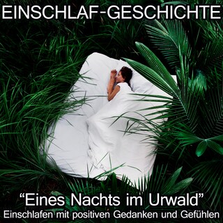 Einschlaf-Geschichte - Eines Nachts im Urwald als Hörbuch