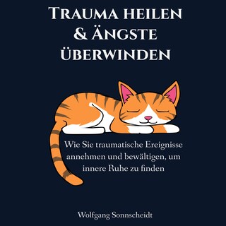 Trauma heilen & Ängste überwinden als Hörbuch