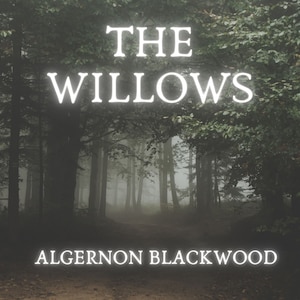 The Willows bookCoverFor