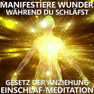 Manifestiere Wunder, während du schläfst als Hörbuch