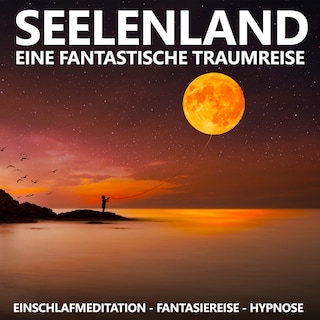 Seelenland - Eine fantastische Traumreise als Hörbuch