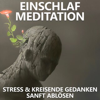 Einschlafmeditation | Stress und kreisende Gedanken sanft ablösen als Hörbuch