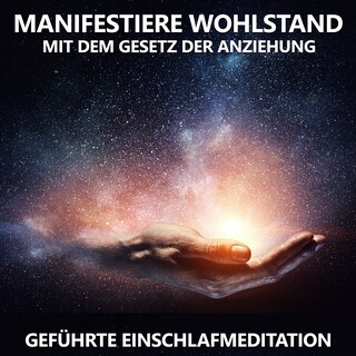 Manifestiere Wohlstand mit dem Gesetz der Anziehung als Hörbuch