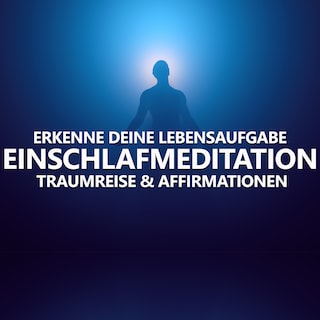 Erkenne deine Lebensaufgabe als Hörbuch
