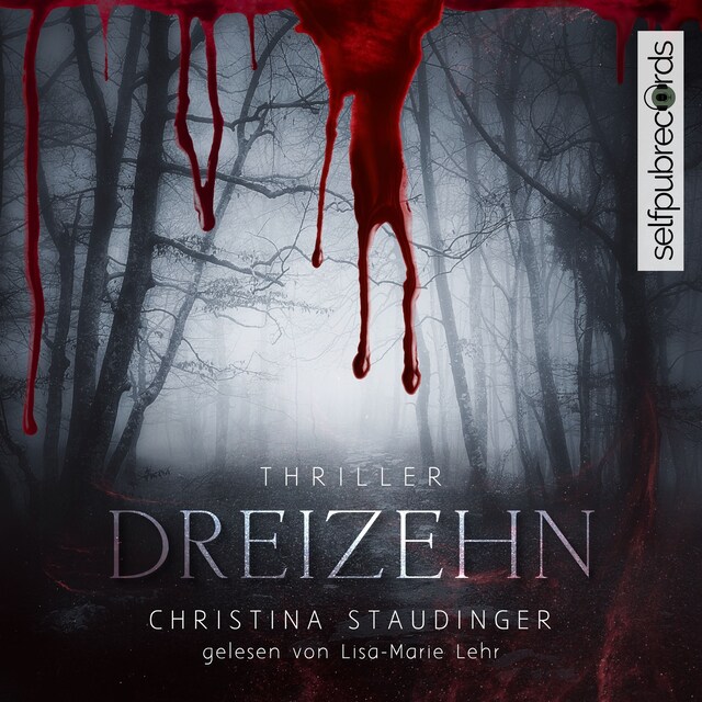 Book cover for Dreizehn