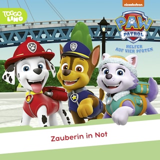 Folge 296: Zauberin in Not als Hörbuch