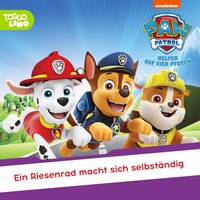 Folge 262: Ein Riesenrad macht sich selbständig