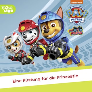 Folge 227: Eine Rüstung für die Prinzessin als Hörbuch
