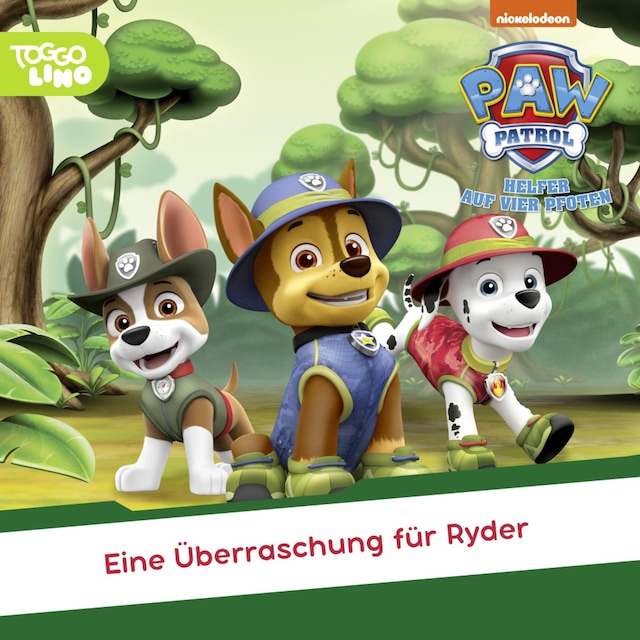 Book cover for Folge 213: Eine Überraschung für Ryder