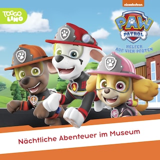 Folge 147: Nächtliche Abenteuer im Museum als Hörbuch