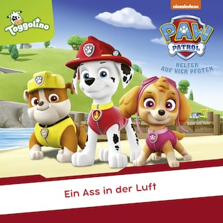 Folge 65: Ein Ass in der Luft als Hörbuch