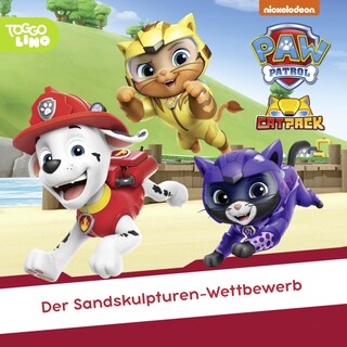 Folge 347: Der Sandskulpturen-Wettbewerb als Hörbuch