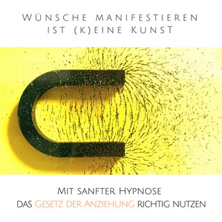 Wünsche manifestieren ist (k)eine Kunst - Das Gesetz der Resonanz entfesseln als Hörbuch