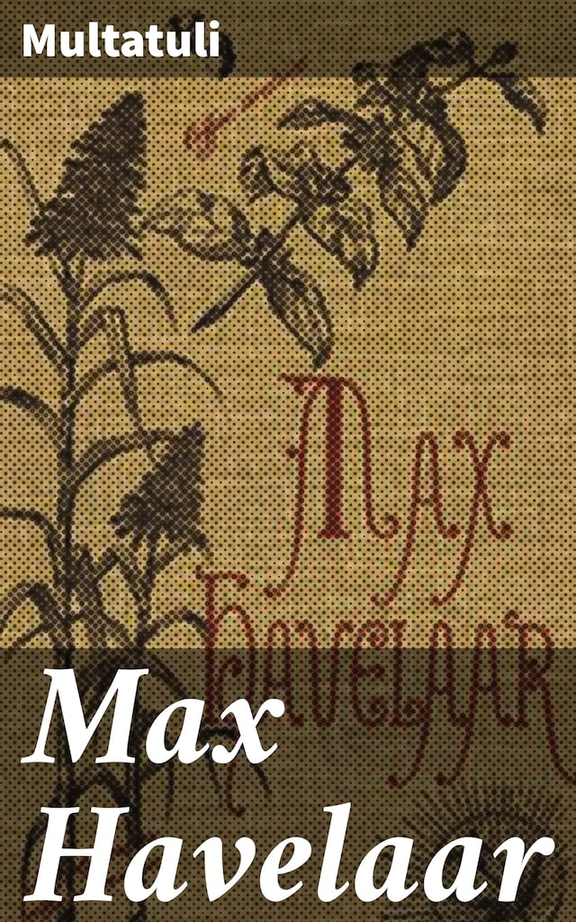 Couverture de livre pour Max Havelaar