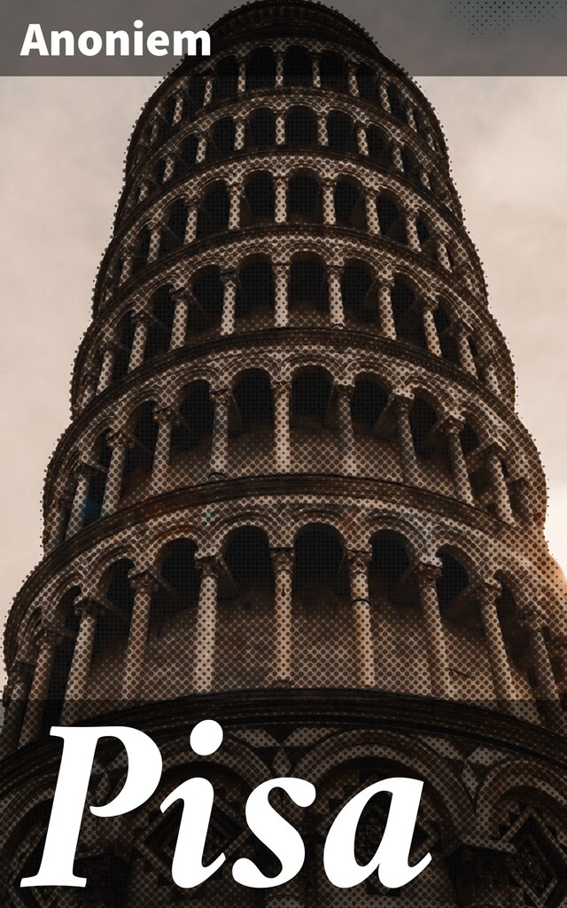 Boekomslag van Pisa