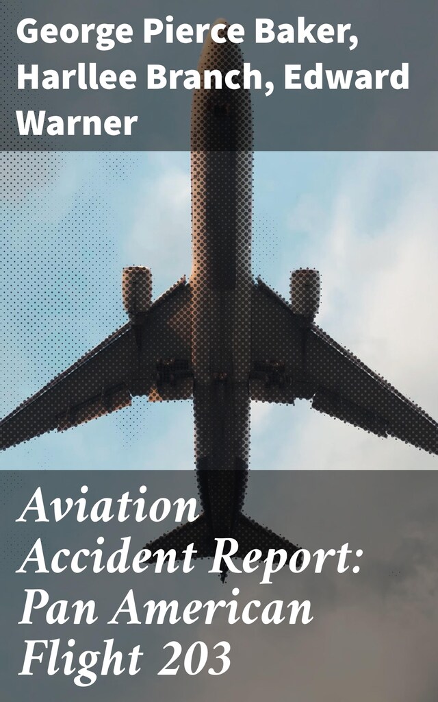 Book cover for Aviation Accident Report: Pan American Flight 203