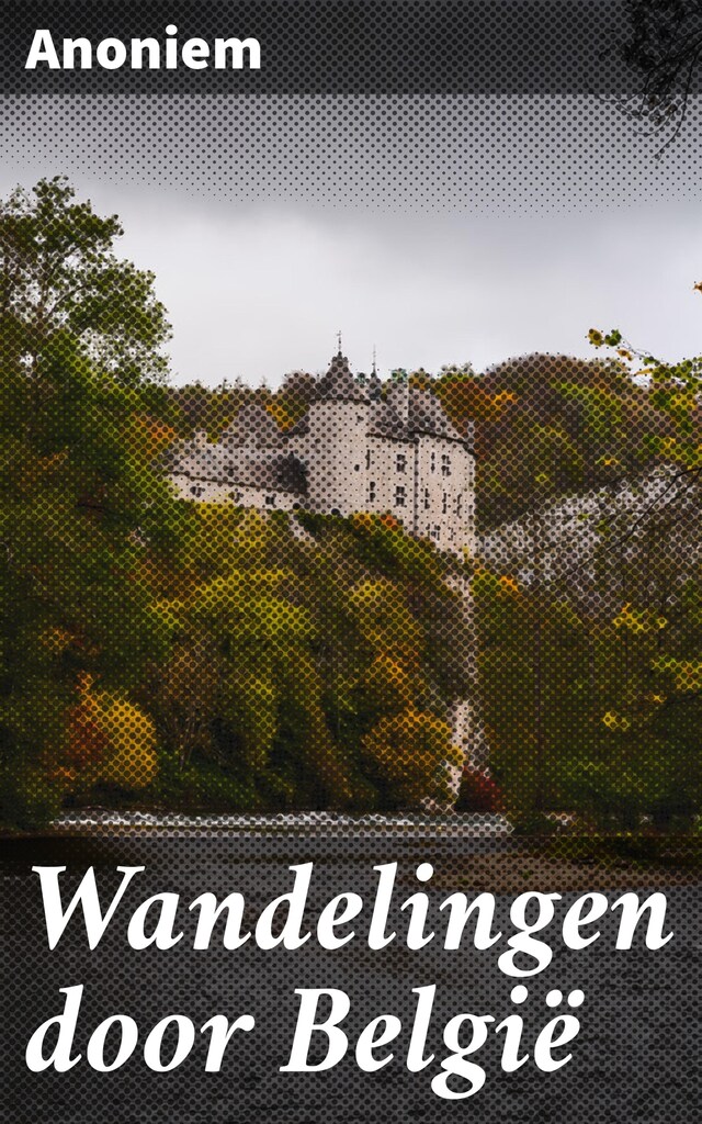 Book cover for Wandelingen door België