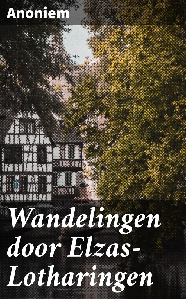 Book cover for Wandelingen door Elzas-Lotharingen