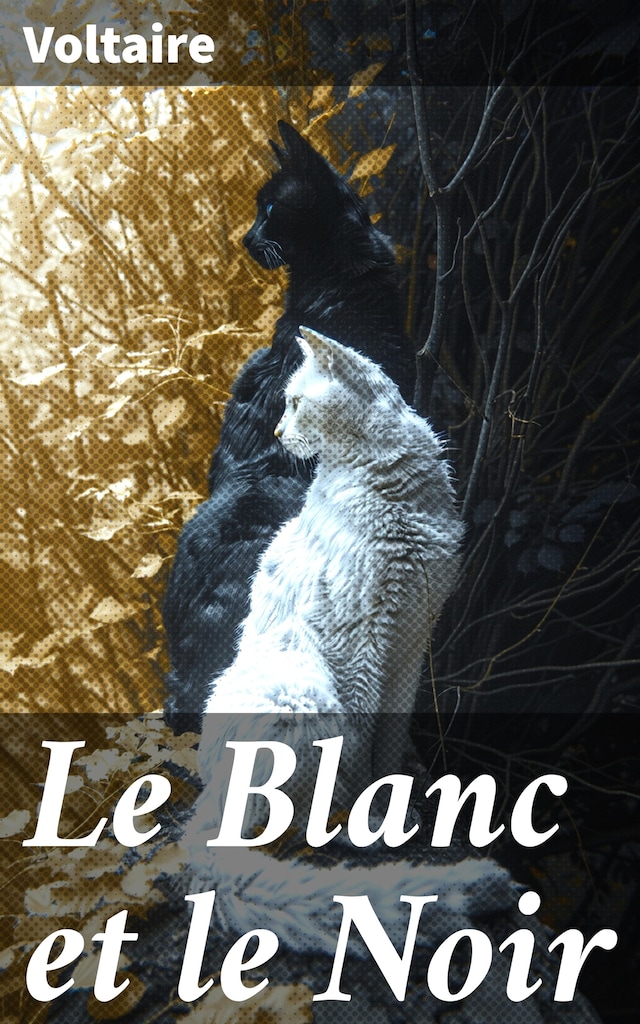 Buchcover für Le Blanc et le Noir