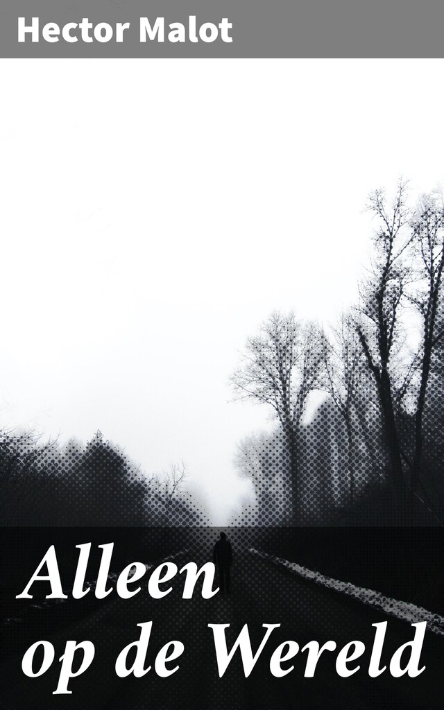 Book cover for Alleen op de Wereld