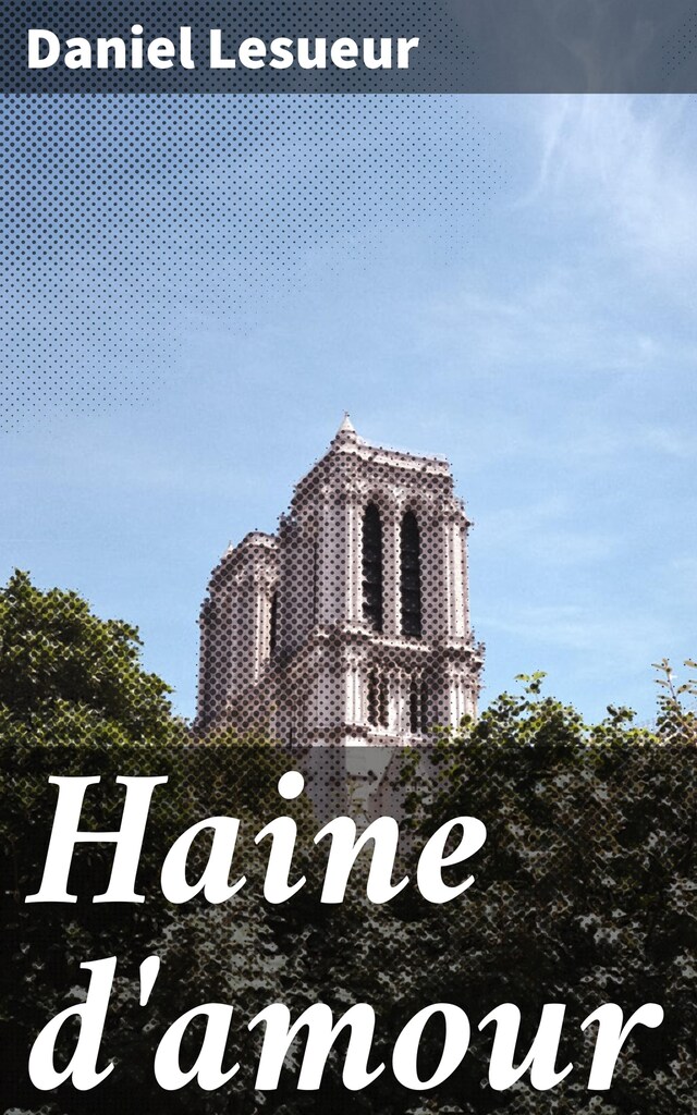 Book cover for Haine d'amour
